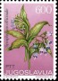 植物:欧洲:南斯拉夫:yu197306.jpg