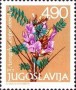 植物:欧洲:南斯拉夫:yu197903.jpg