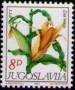 植物:欧洲:南斯拉夫:yu198103.jpg