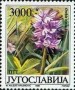 植物:欧洲:南斯拉夫:yu198904.jpg