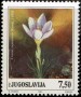 植物:欧洲:南斯拉夫:yu199103.jpg