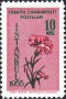 植物:欧洲:土耳其:tr195501.jpg