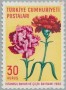 植物:欧洲:土耳其:tr196001.jpg