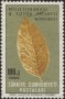 植物:欧洲:土耳其:tr196503.jpg