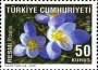 植物:欧洲:土耳其:tr200904.jpg