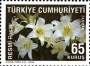 植物:欧洲:土耳其:tr200905.jpg