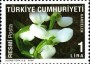 植物:欧洲:土耳其:tr200906.jpg