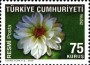植物:欧洲:土耳其:tr200909.jpg