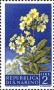 植物:欧洲:圣马力诺:sm195702.jpg