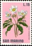 植物:欧洲:圣马力诺:sm197107.jpg