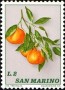 植物:欧洲:圣马力诺:sm197302.jpg