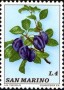 植物:欧洲:圣马力诺:sm197304.jpg