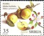植物:欧洲:塞尔维亚:rs201502.jpg
