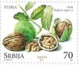 植物:欧洲:塞尔维亚:rs201704.jpg