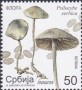 植物:欧洲:塞尔维亚:rs201901.jpg