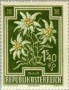 植物:欧洲:奥地利:at194810.jpg