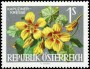 植物:欧洲:奥地利:at196401.jpg