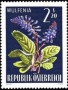 植物:欧洲:奥地利:at196603.jpg