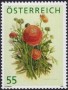 植物:欧洲:奥地利:at200801.jpg