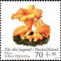 植物:欧洲:德国:de201806.jpg
