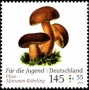 植物:欧洲:德国:de201808.jpg