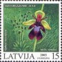 植物:欧洲:拉脱维亚:lv200301.jpg
