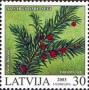 植物:欧洲:拉脱维亚:lv200302.jpg