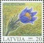 植物:欧洲:拉脱维亚:lv200502.jpg