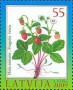 植物:欧洲:拉脱维亚:lv200901.jpg