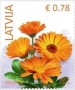 植物:欧洲:拉脱维亚:lv201505.jpg