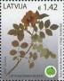 植物:欧洲:拉脱维亚:lv201702.jpg