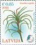 植物:欧洲:拉脱维亚:lv201801.jpg