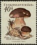 植物:欧洲:捷克斯洛伐克:cs195802.jpg