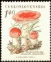 植物:欧洲:捷克斯洛伐克:cs195804.jpg