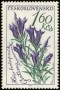 植物:欧洲:捷克斯洛伐克:cs196405.jpg