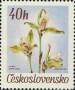 植物:欧洲:捷克斯洛伐克:cs196703.jpg