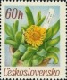 植物:欧洲:捷克斯洛伐克:cs196704.jpg