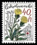 植物:欧洲:捷克斯洛伐克:cs197904.jpg