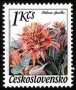 植物:欧洲:捷克斯洛伐克:cs198002.jpg