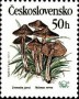 植物:欧洲:捷克斯洛伐克:cs198901.jpg
