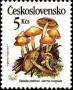 植物:欧洲:捷克斯洛伐克:cs198905.jpg