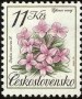 植物:欧洲:捷克斯洛伐克:cs199104.jpg