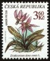 植物:欧洲:捷克:cz199701.jpg