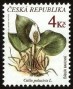 植物:欧洲:捷克:cz199702.jpg