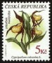 植物:欧洲:捷克:cz199703.jpg