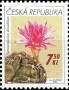 植物:欧洲:捷克:cz200601.jpg