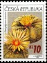 植物:欧洲:捷克:cz200603.jpg