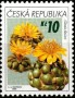 植物:欧洲:捷克:cz200604.jpg