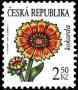 植物:欧洲:捷克:cz200705.jpg