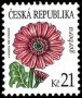 植物:欧洲:捷克:cz200802.jpg